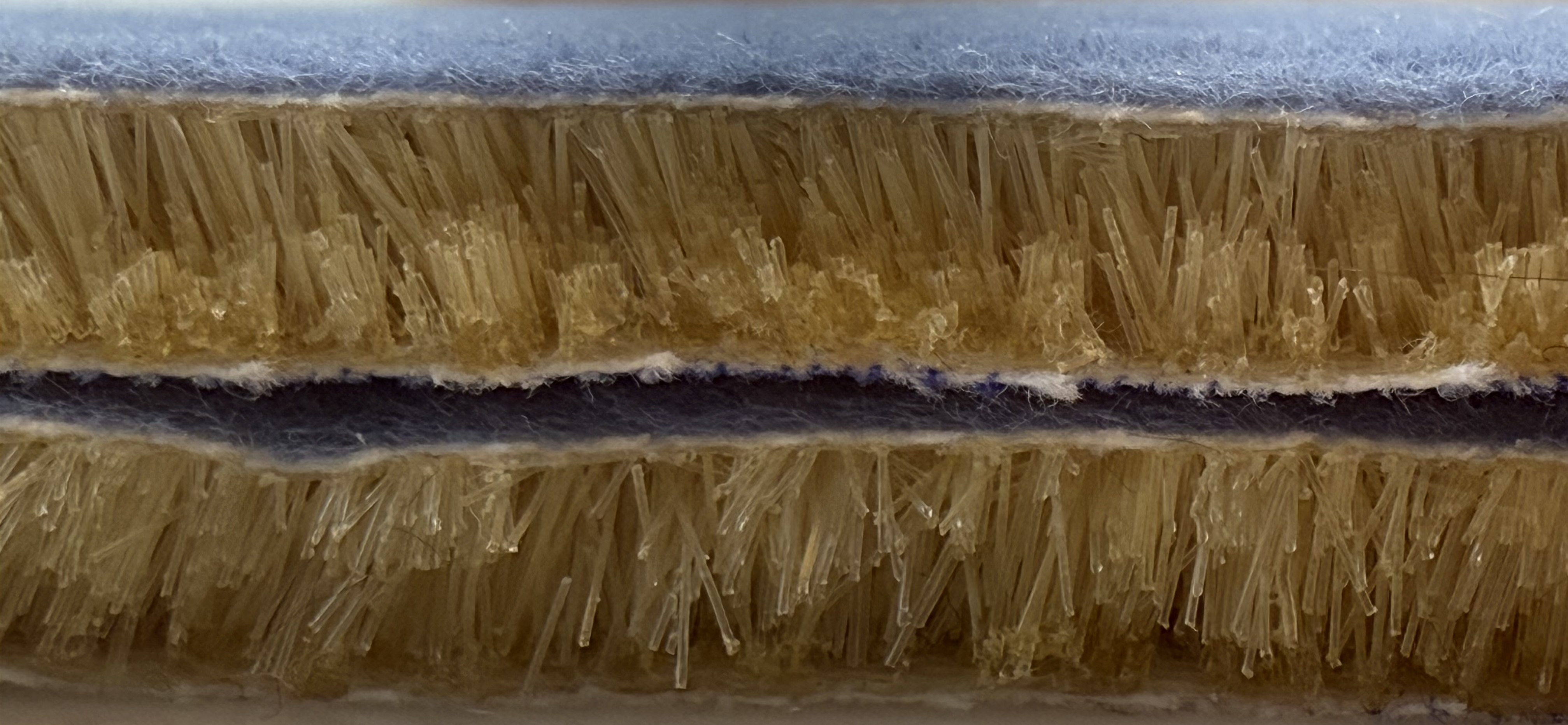 FEAM fibers close-up