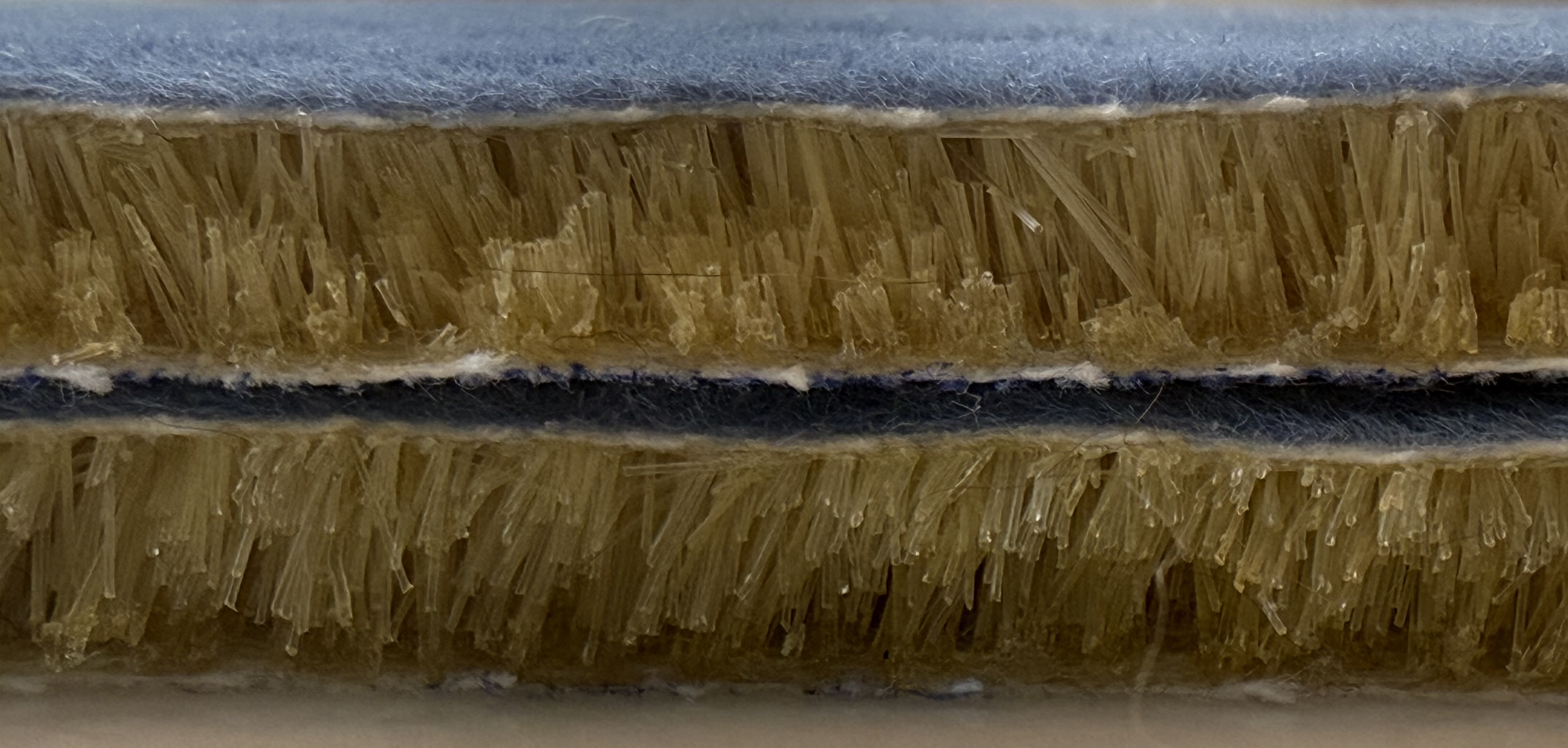 FEAM fibers stacked view